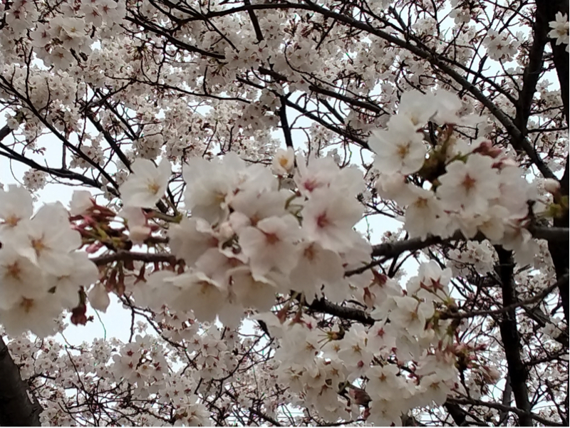 コンシェルジュな日々💒🔔