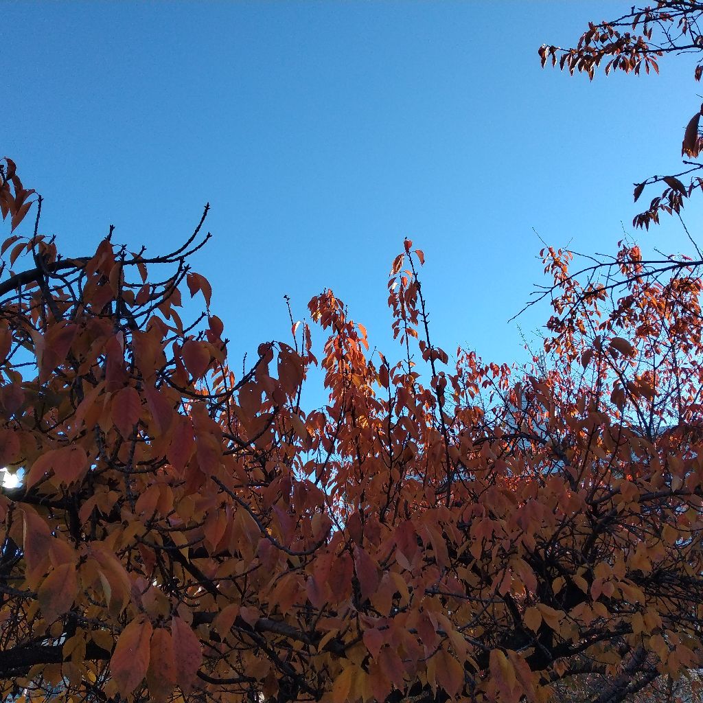 パワハラ問題、その後（笑）