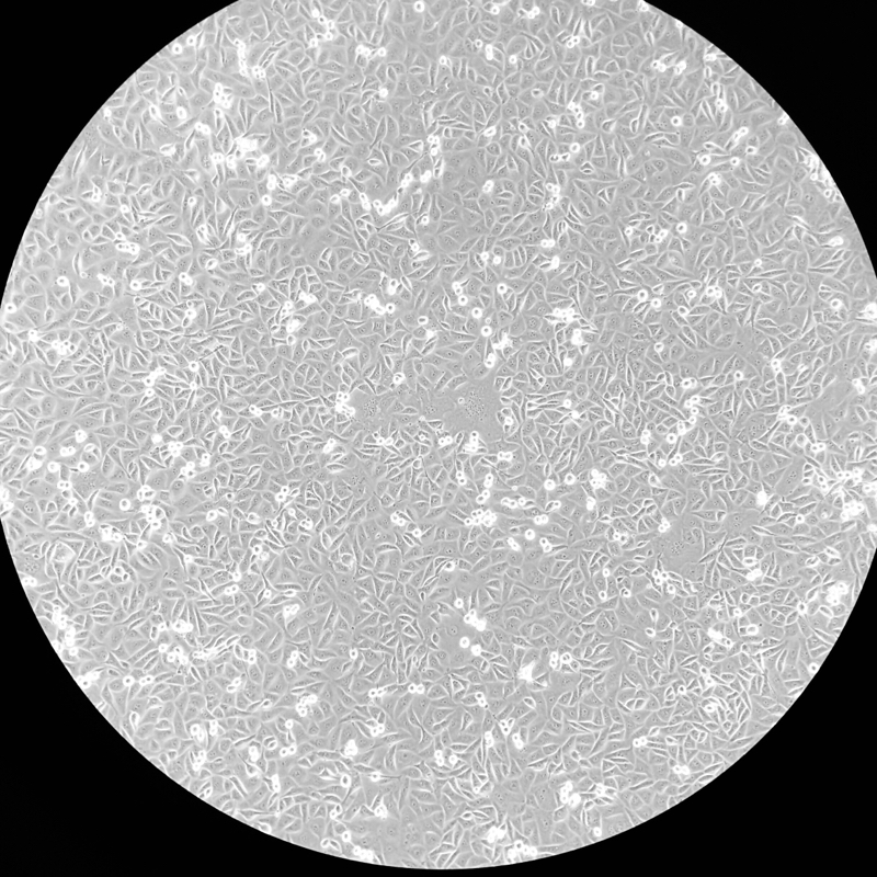 地上階でひとりごと(雑音がすごい)