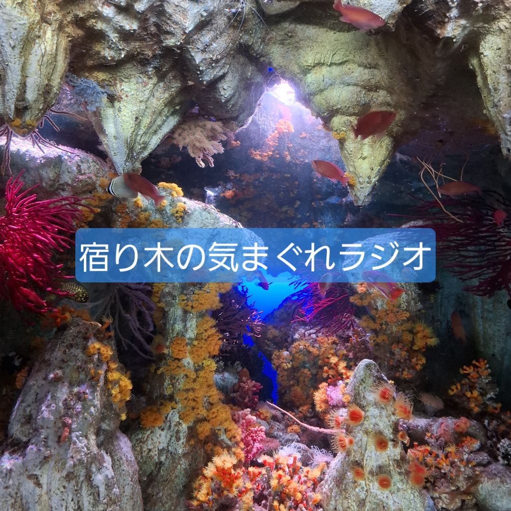 初回自己紹介