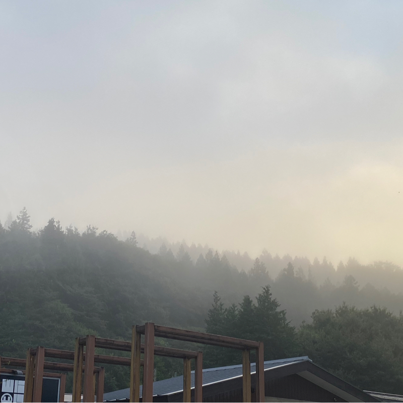 寝起きです