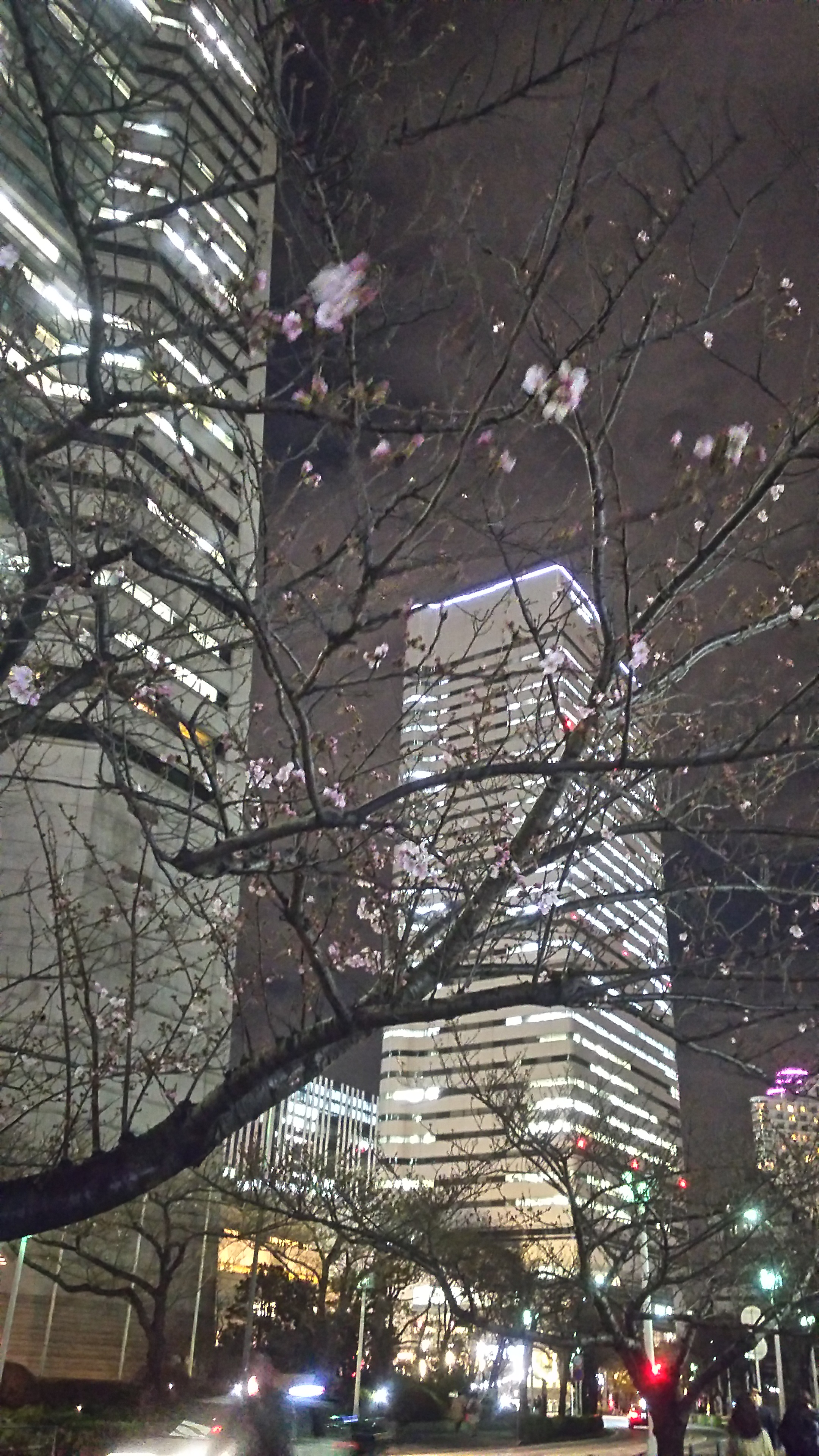 日向坂の推しが可愛いって話