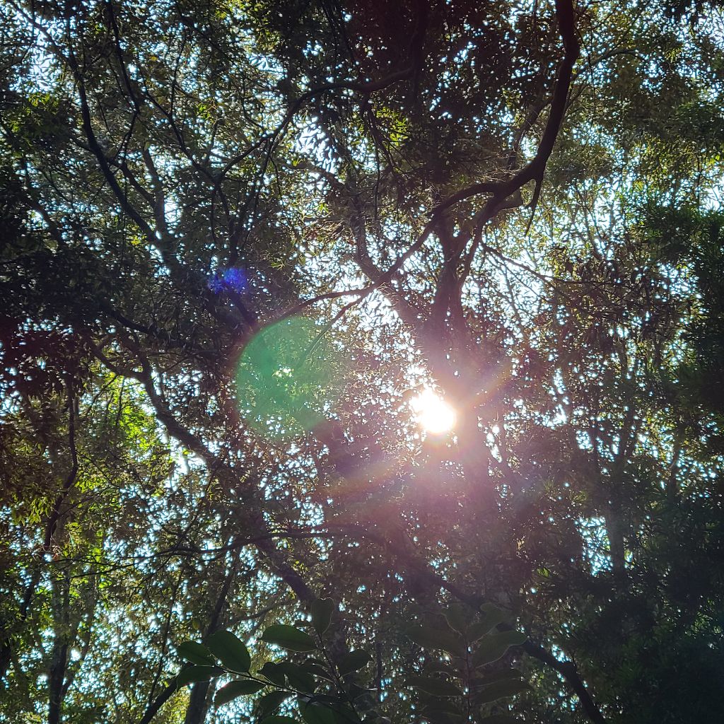 20251006初在宅勤務