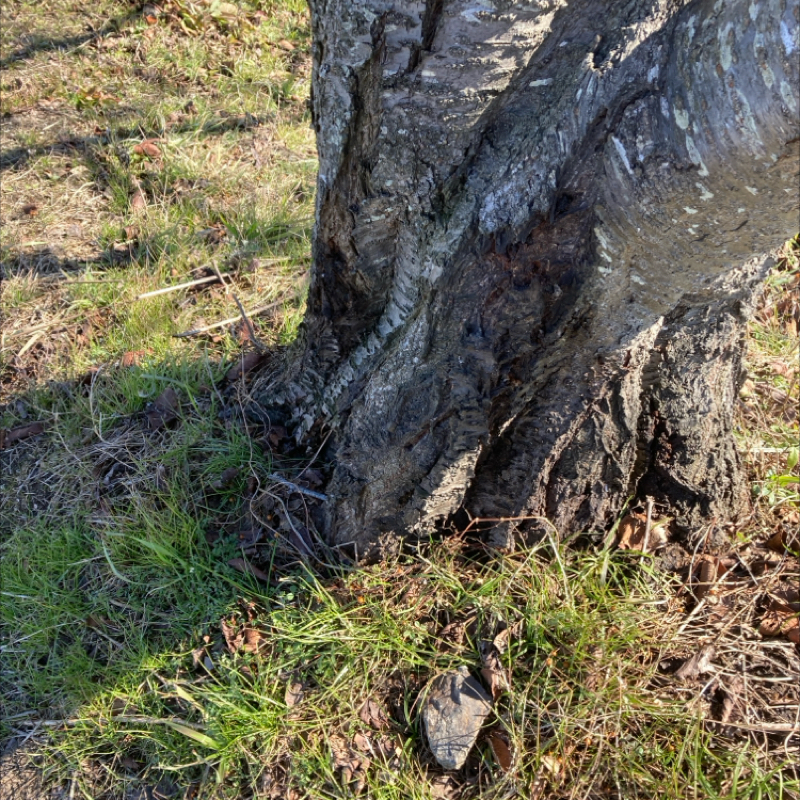 自己紹介〜仕事のことなど〜