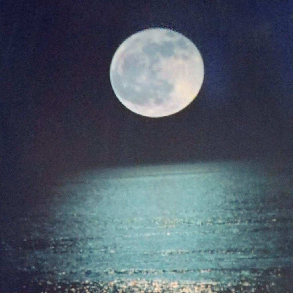 漆海～うるみ～🌃 の独り言