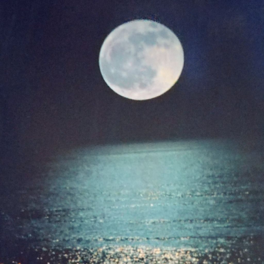 漆海~うるみ~🌃