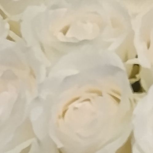愛陽華