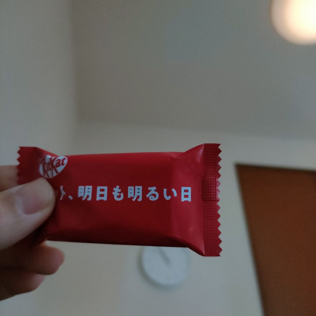 #4鬱の不安感強いのでたからリアルをお届けします