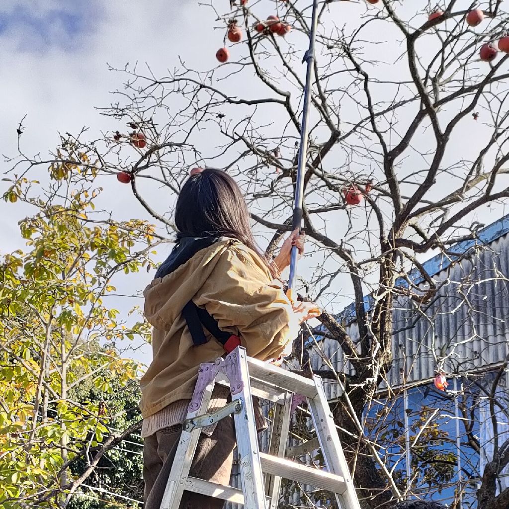 #10.鬱でADHD母の子供との休日