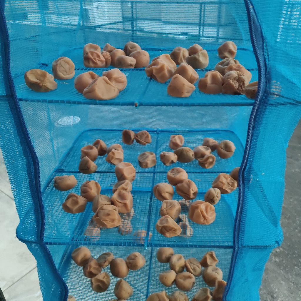 #37.4児シンママ発達障害の症状(中1〜中3)半年ぶりにやっとこさ梅を干しました