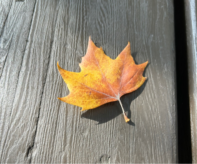 手紙~拝啓15の君へ~