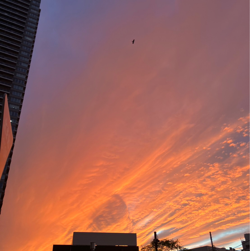 真夏の果実(ヒソヒソ)