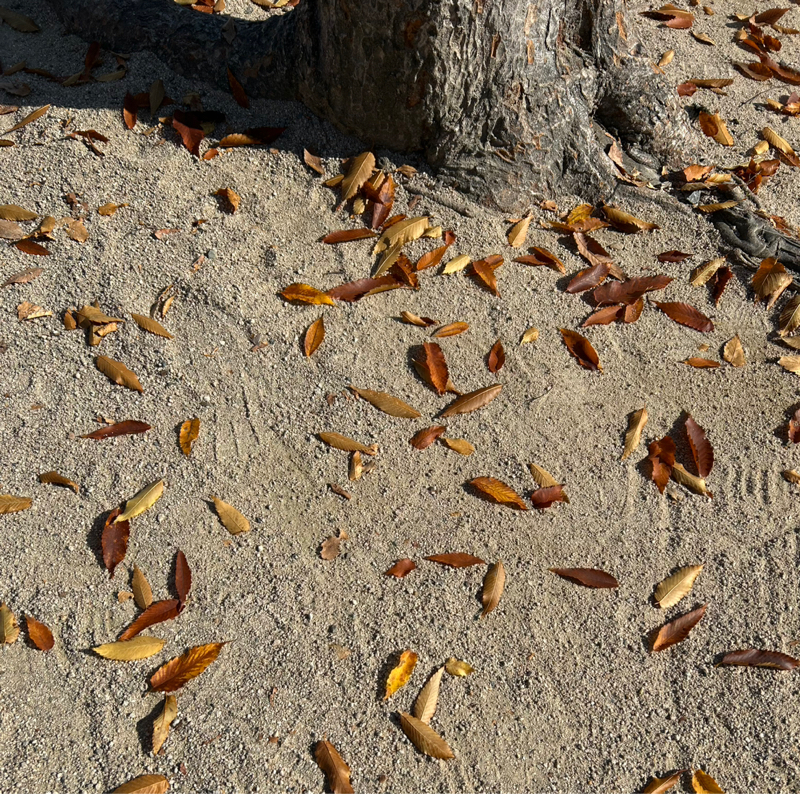 春よ、来い(音付きフル)