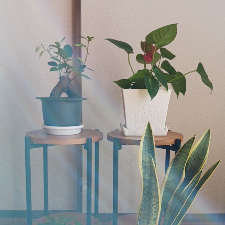 昨晩の心のモヤモヤ