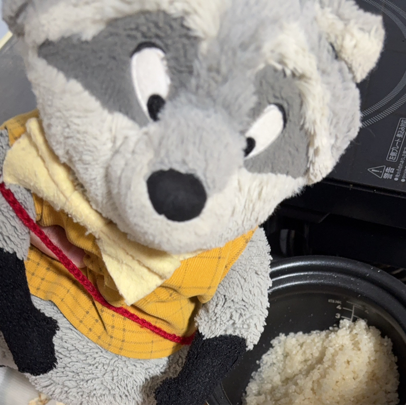 ミナミ先生とアライグマ(身内ラジオ)