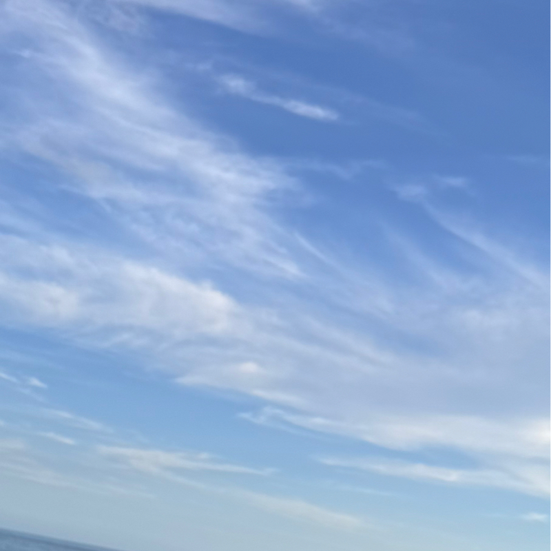 お題に答えてます
