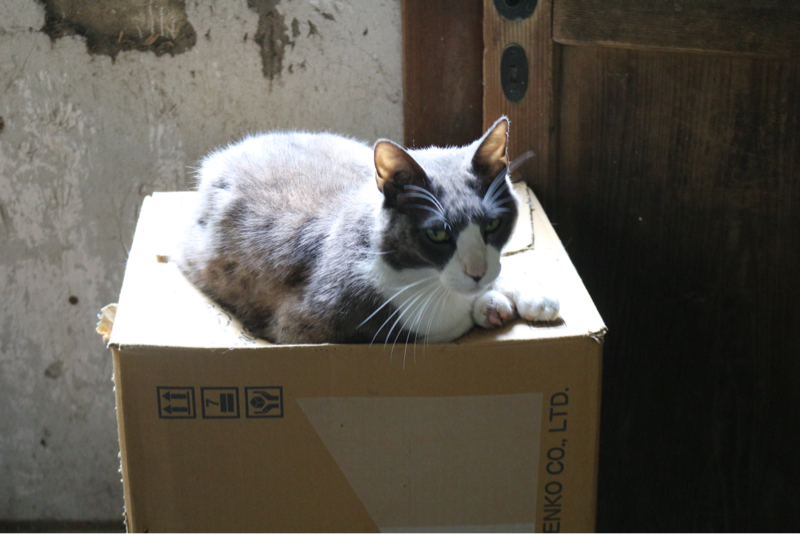 第2回 スイーツで腹いっぱい