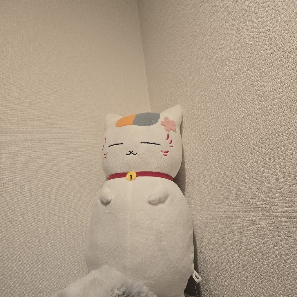 一発録りの自己紹介!!はじめまして!!(写真は玄関にいるニャンコ先生)