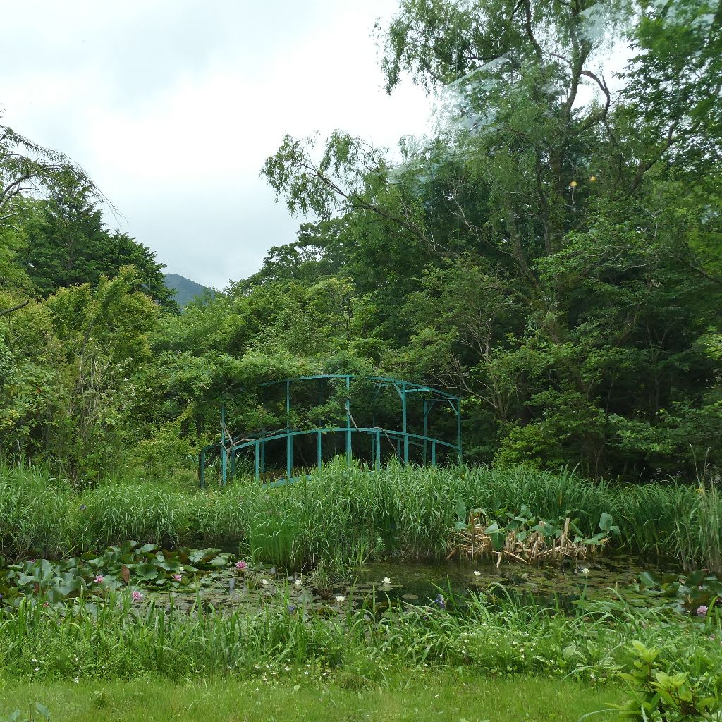 【自己紹介】しーちゃんのゆったりリビング