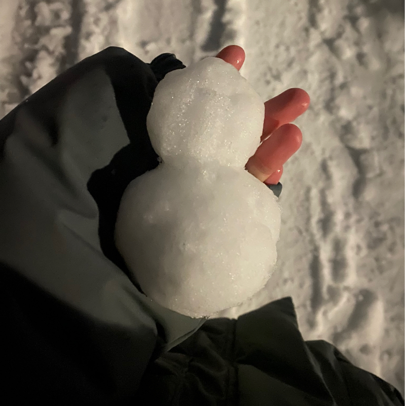 #5 転職・雪のお話