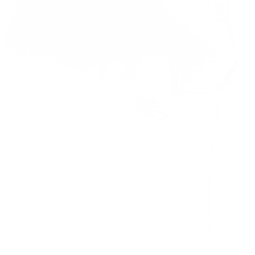 どうやら世間じゃバレンタインデーらしいじゃないですか