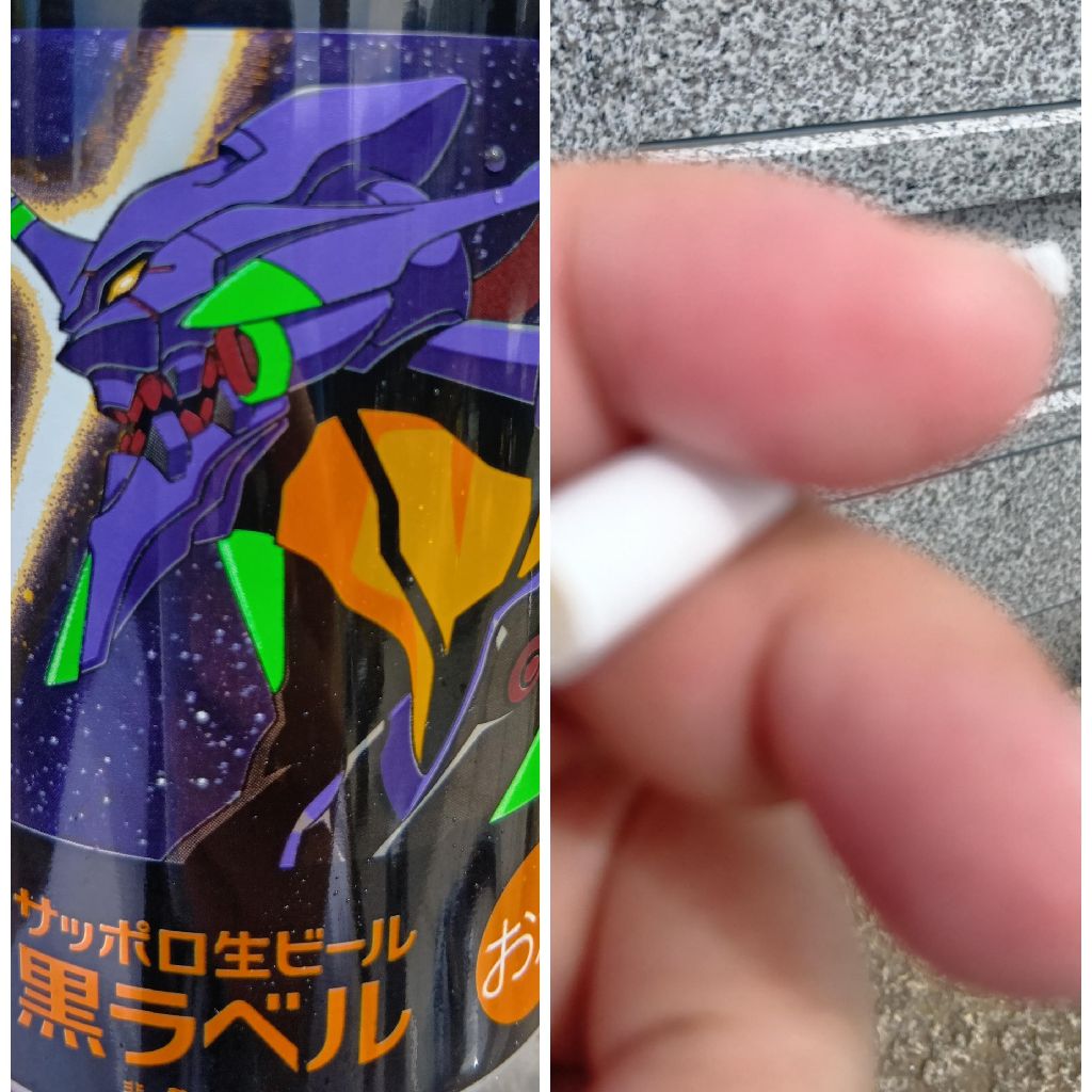 タコの日