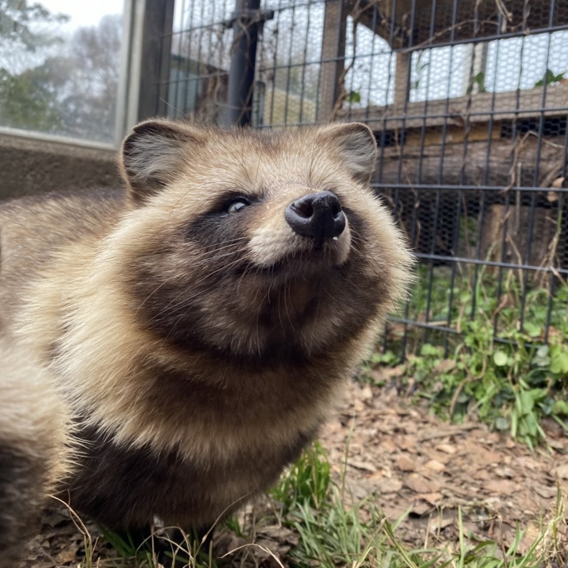 【弾き語り】奏