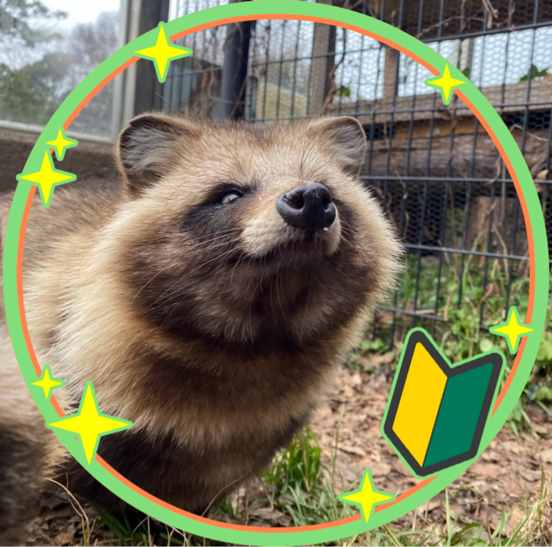 🍂たぬきち🪵