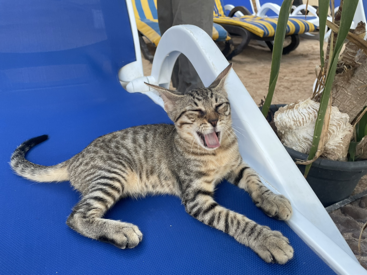 キロク#1 勝手に私の価値が下がる話