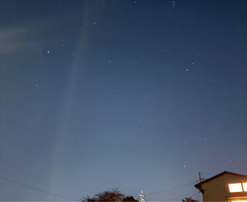 くろネコちゃんとの出会い。