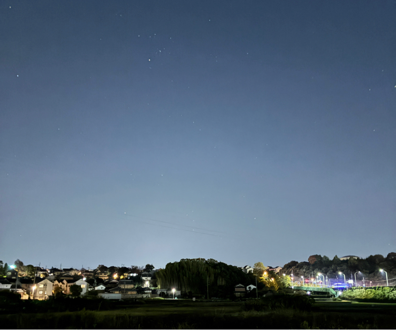 本のにおいとイタリア展。