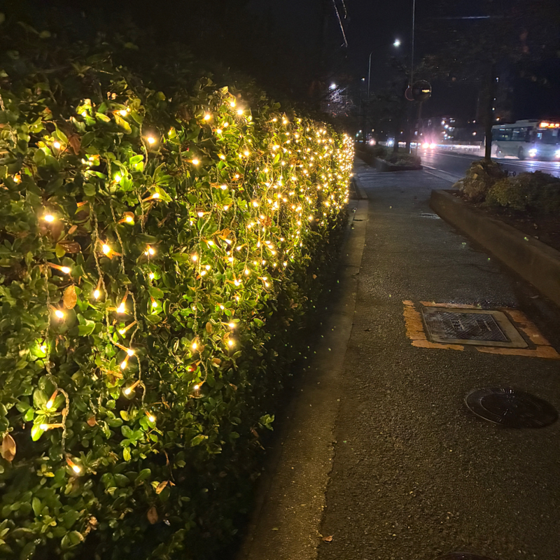 ゴッホ愛とお客様は神様信者ご来店