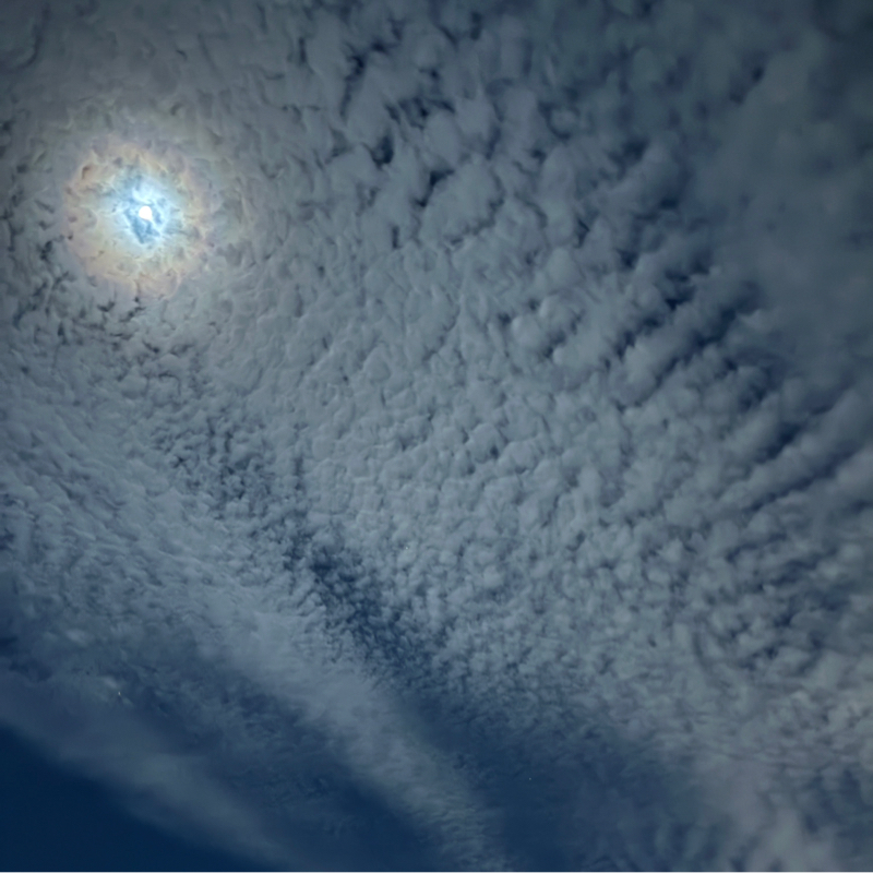 100均までノートを買いに