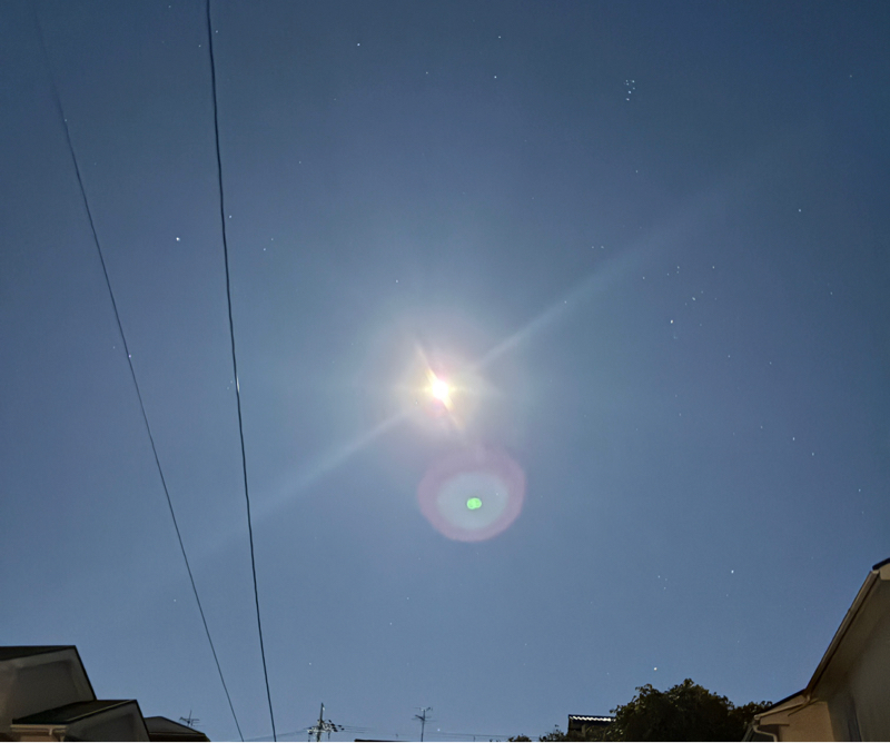 #027  言葉の力とイグノーベル賞