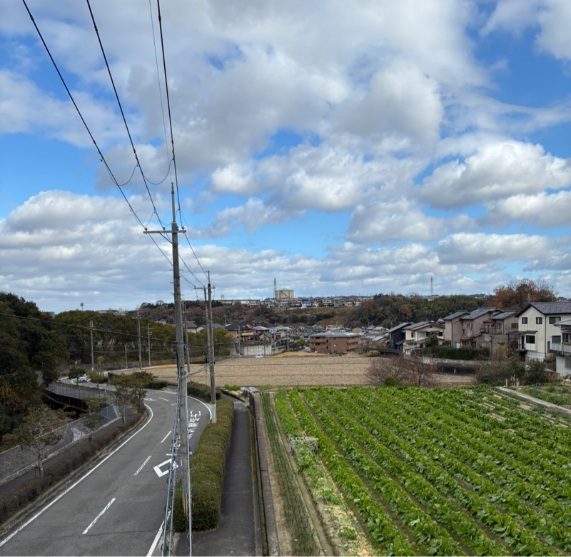 #031  昼さんぽ。またたびをもらいに