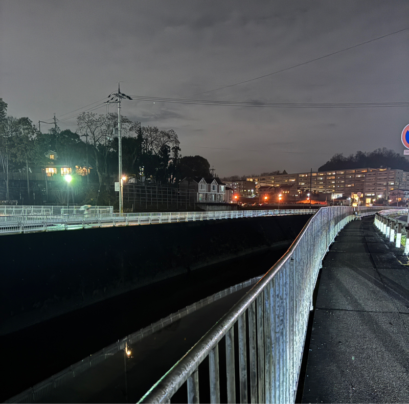 #042  クリスマスイヴの悲しい荷物事故