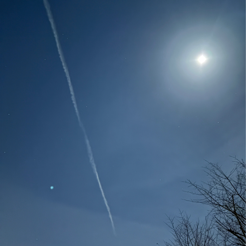 #066   「ちょっとふっくらしたんじゃない？」