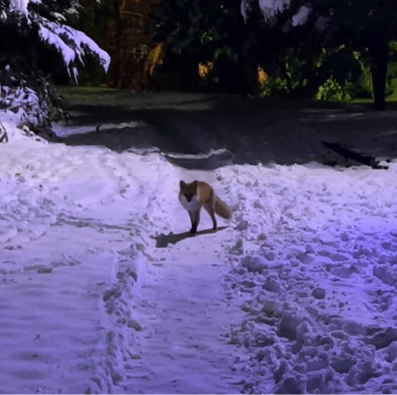 #2 「実は占いとオタクは親和性が高い」