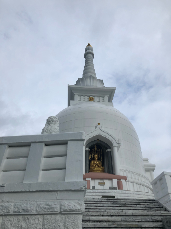 マッハきしょ松