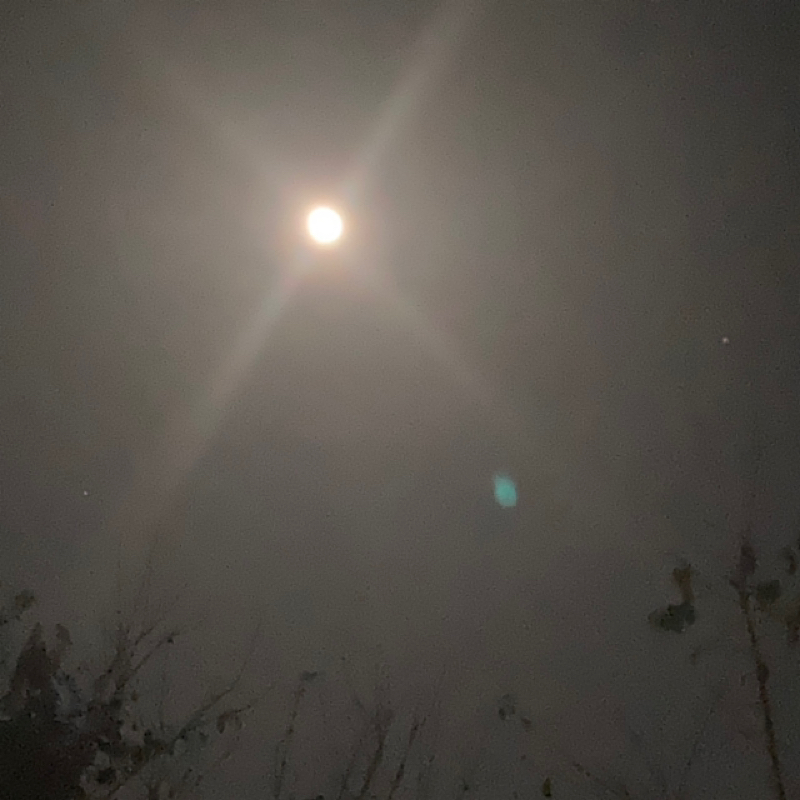 よるの詩（うた）