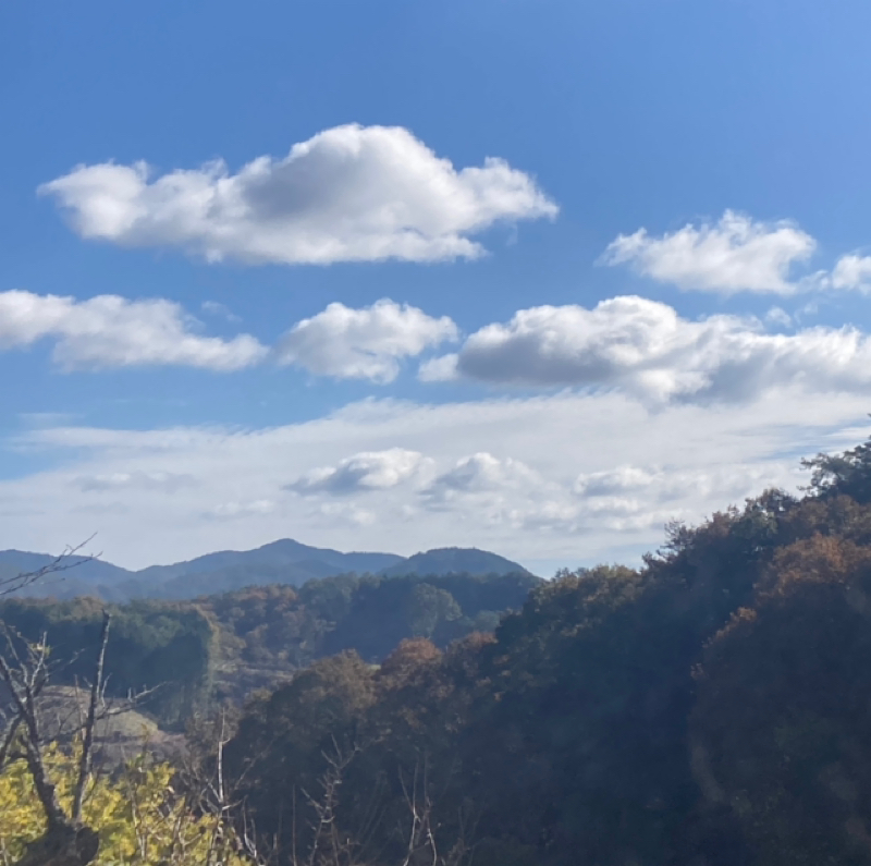 晴れやかな朝の詩（うた）