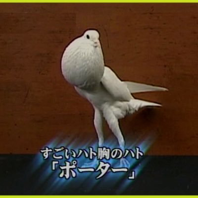 🐦02     ラジオを始めようと思ったきっかけ