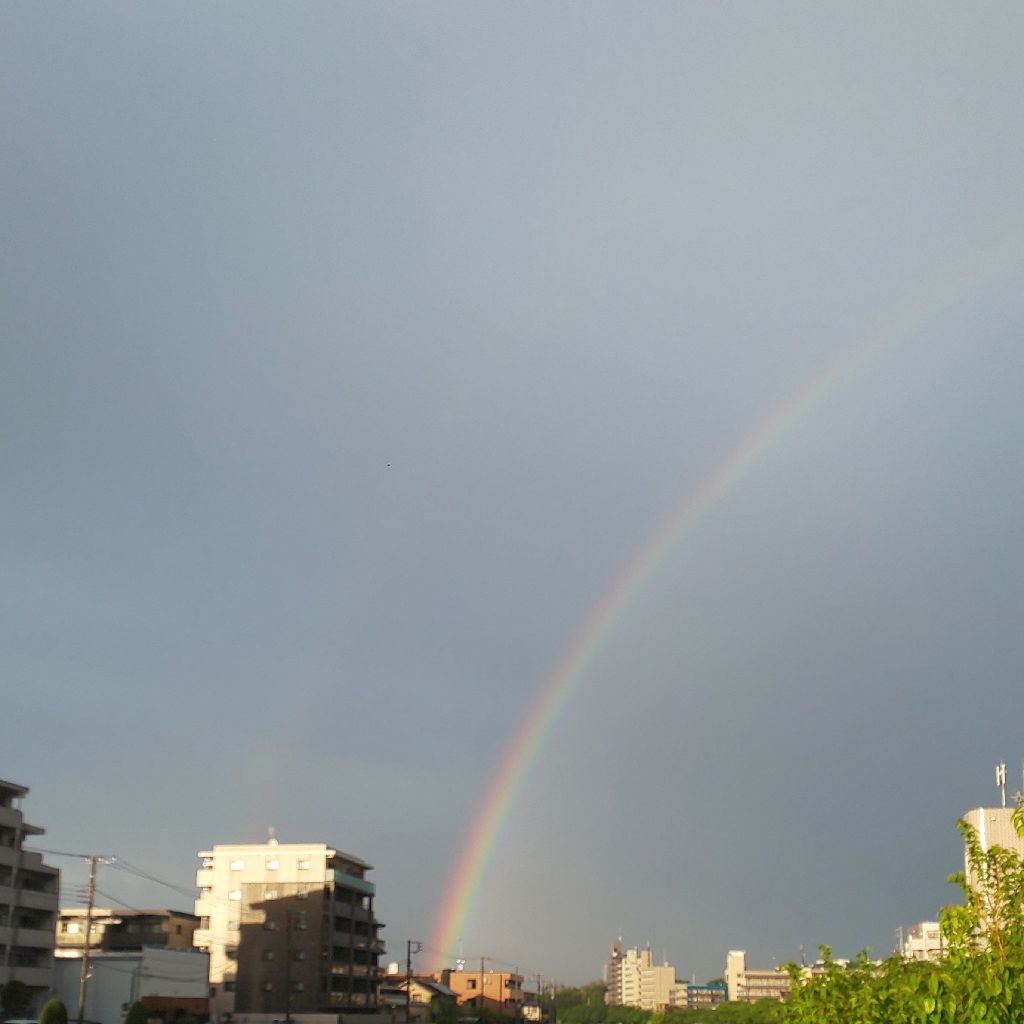 らむねのひとりごと（虹）