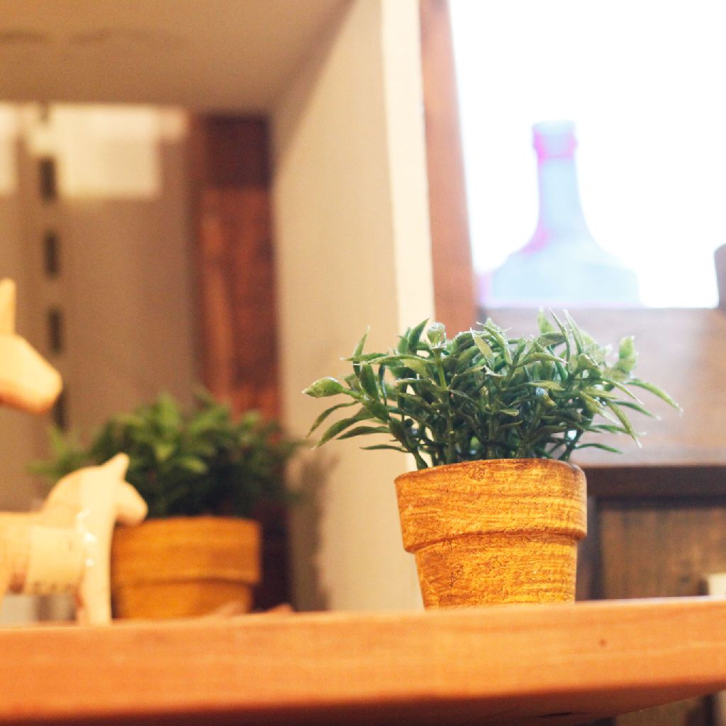 美容院に行って雑貨屋さんに行って…。