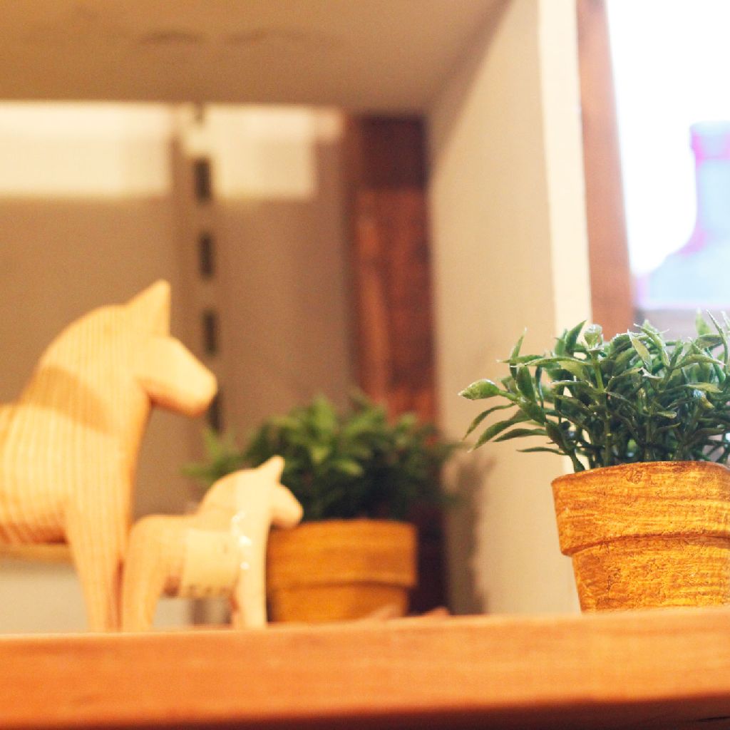 東京競馬場に行きたいんだよ