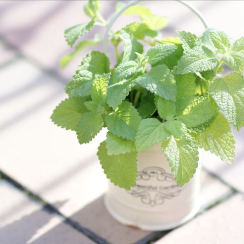 有益な話はできませんが