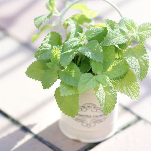 美容院に行って、雑貨屋さんに行って…