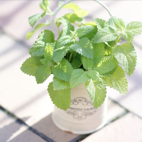 首の後ろに肉ついてない？