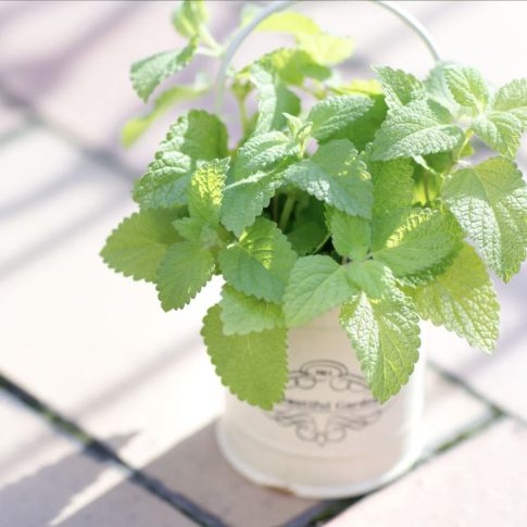 この連休はどこへ行く？経県値やってみて♪