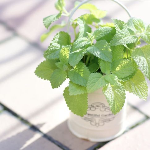 息をこらえてストローくわえて声の老化防止